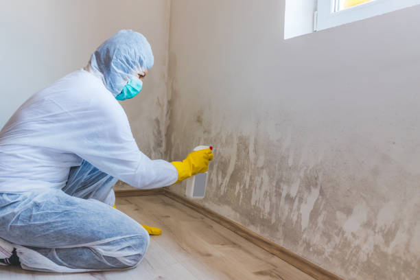 Licensed Commercial Mold Remediation service in Abington, PA - WQB Mold Removal