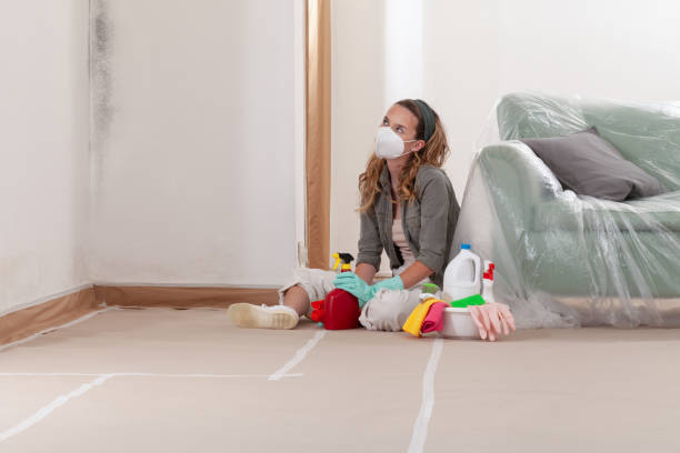 Reliable Commercial Mold Remediation contractor in Abington, PA by WQB Mold Removal